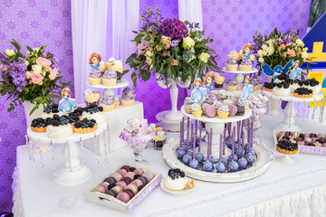 Little girl birthday party table with princess cake, macaroons, cupcakes, and sugar cookies. Candy bar for kids. Sweet holiday buffet with sweets and other desserts.