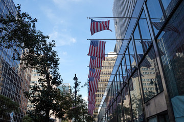 United States flags