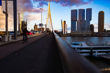 Fototapeta na wymiar Rotterdam urban Views
