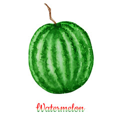 Watermelon fruit watercolor hand drawn illustration, fresh healthy food - organic natural food isolated on white background.