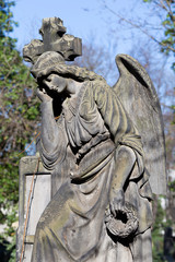 The historic Angel from the mystery old Prague Cemetery, Czech Republic