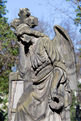 Fototapeta premium The historic Angel from the mystery old Prague Cemetery, Czech Republic