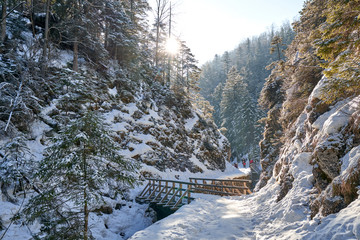 Wooden bridge across Bialy Potok stream in Bialego Valley (Dolina Bialego), Zakopane, Poland © PatPat
