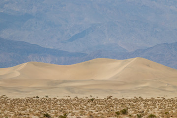 sand dunes in death valley