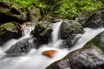 small waterfall in the forest