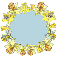 drawn wreath of watercolor tender spring yellow daffodils on a white background