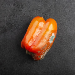 Sweet pepper with sooty mold fungi on a black background