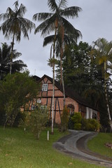 Fototapeta premium Pomerode