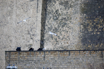 Napoli durante la quarantena