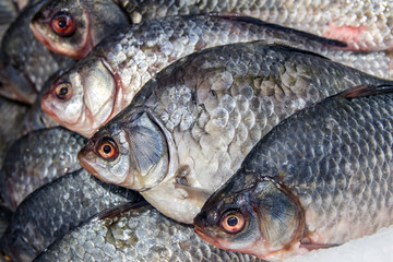 Closeup of fish heads on ice at a fish market.