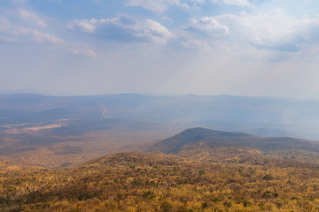 Landscape mixed forest summer season view from top mountain nature background