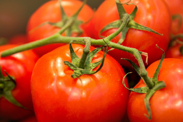 food vegetable tomato. Texture of tomatoes on a branch. Background juicy and red tomatoes