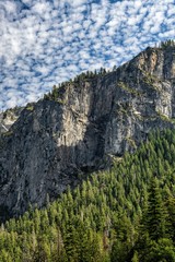 Fototapeta na wymiar Views around Yosemite National Park, California