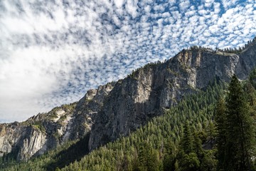 Fototapeta na wymiar Views around Yosemite National Park, California