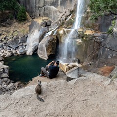 Squirrel watching the Photographer. Vernal Falls, Yosemite National Park, California
