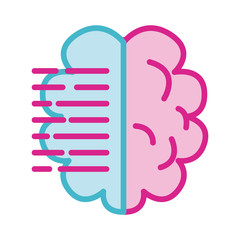 brain human with text line and fill s line and fill style icon