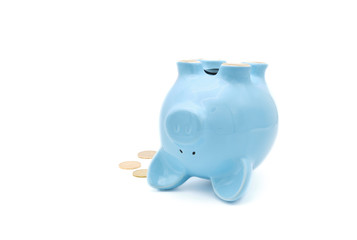 Piggy Bank on Back