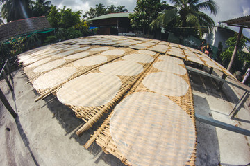 Rice paper sun drying. Traditional rice paper production in Vietnam. Mekong delta tour attractions....