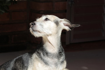 Banho de Sol