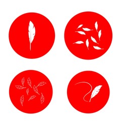 Feather ilustration  logo vector template