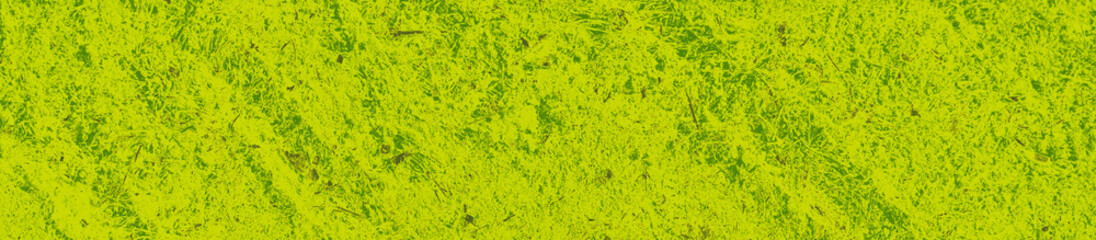 abstract lime and green colors background for design