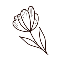 beautifull flower with leafs garden spring line style