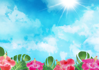 ハイビスカス リゾート地 海 夏 空 背景イラスト Background Wall Mural Backgrou よしだ