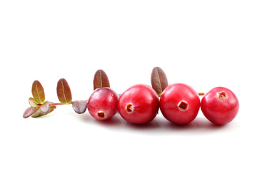 Cranberries and leaves