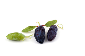 Honeyberries and leaves
