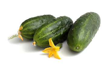 Three cucumbers and flower