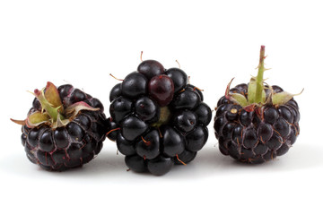Black raspberries and blackberry