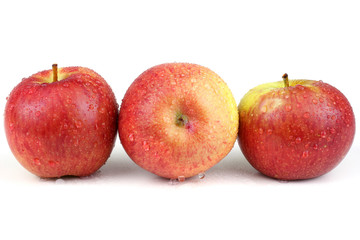 Gala apples