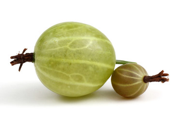 Big and little green gooseberry