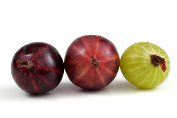 Black-violet and green gooseberry
