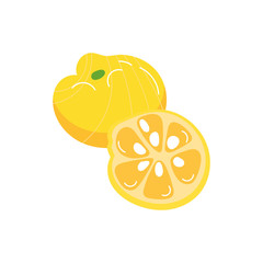 tangerine exotic fruit flat style