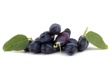 Honeyberries and leaves