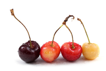 Different color cherries