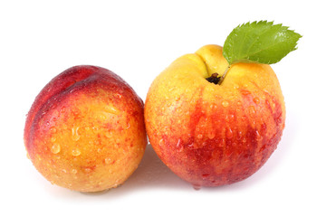 Nectarines and leaf