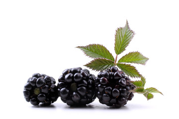 Blackberries