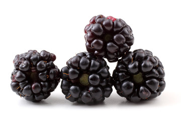 Blackberries