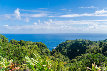 Beautiful view of pacific ocean across Road to Hana in Maui Hawaii USA