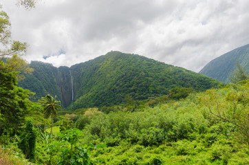 Hiilawe waterfalls seen at distant during hike to Waipio valley in Big Island Hawaii USA