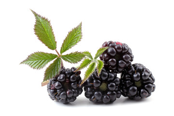 Blackberries and leaves