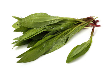 Ramson