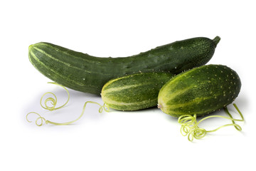 Cucumbers and tendrils