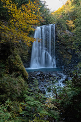 Fototapeta premium 乗鞍の秋