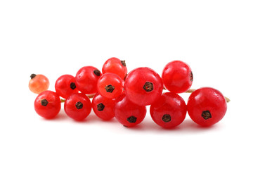 Red currant