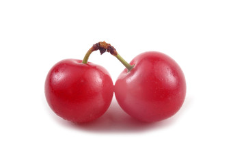 Far eastern cherries