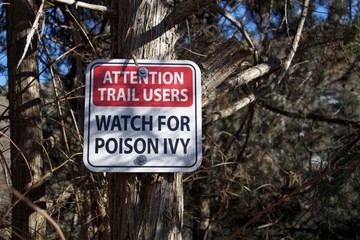 attention poison ivy