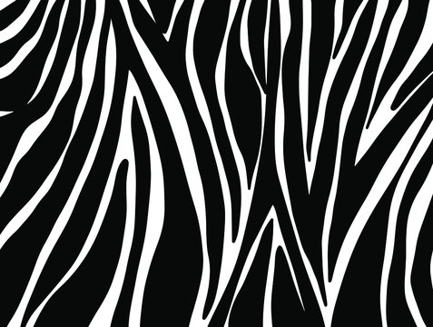 zebra seamless pattern